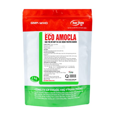 Eco Amocla - Special treatment for infections, lasting 48 hours
