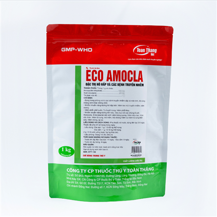 ECO AMOCLA - Đặc trị hô hấp và các bệnh truyền nhiễm.