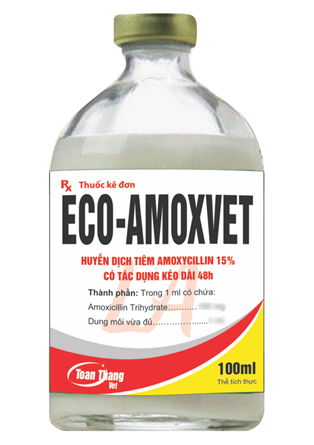 ECO AMOXVET LA - HUYỄN DỊCH TIÊM AMOXICILLIN 15%  CÓ TÁC DỤNG KÉO DÀI 48 GIỜ