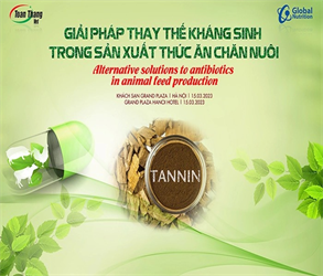 Giải pháp thay thế kháng sinh trong thức ăn chăn nuôi
