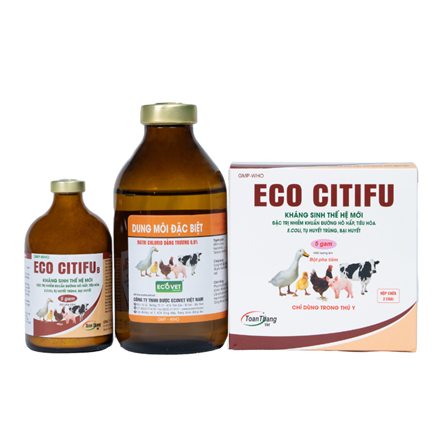 Eco Citifu B (BPT) - Special treatment for respiratory and digestive tract infections, E.COLI, septicemia, sepsis