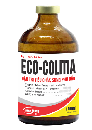 ECO COLITIA - ĐẶC TRỊ TIÊU CHẢY, SƯNG PHÙ ĐẦU