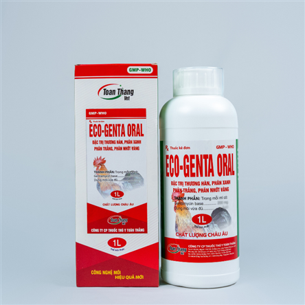 ECO - GENTA ORAL - Đặc trị thương hàn, phân xanh, phân vàng nhớt