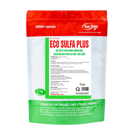ECO SULFA PLUS - ĐẶC TRỊ KÍ SINH TRÙNG ĐƯỜNG MÁU BỆNH ĐẦU ĐEN TRÊN GIA CẦM, THỦY CẦM